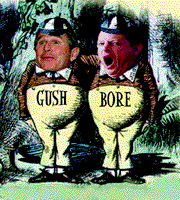 Bush and Gore